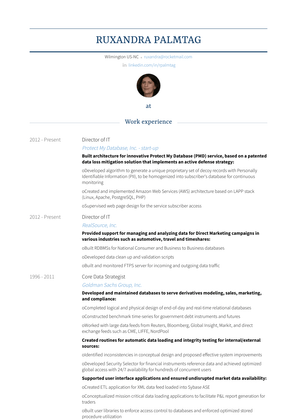 Director Of It Resume Sample and Template