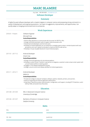 Software Developer CV Example and Template