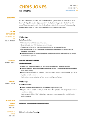 Web Developer CV Example and Template