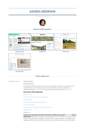 Sole Proprietor Resume Sample and Template
