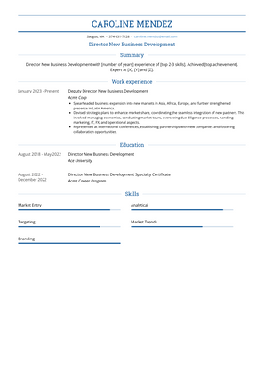 Director New Business Development Resume Sample and Template