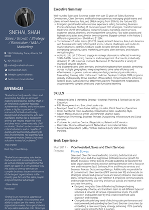 President & Chief Sales Officer Resume Sample and Template