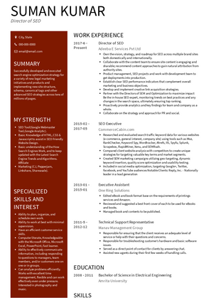 Director of SEO Resume Sample and Template