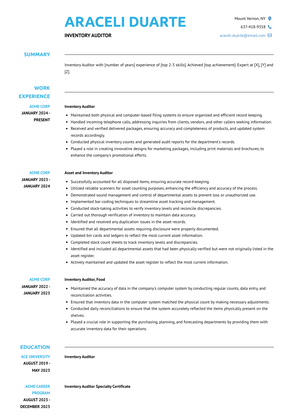 Inventory Auditor Resume Sample and Template