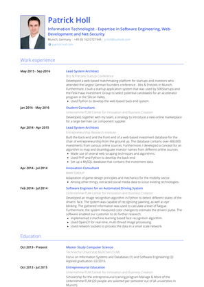 Lead System Architect Resume Sample and Template