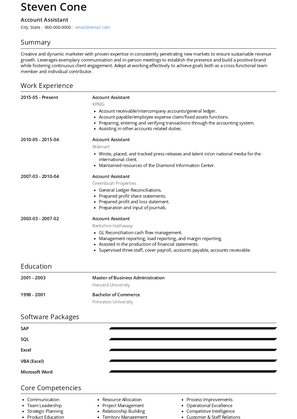 Account Assistant Resume Sample and Template