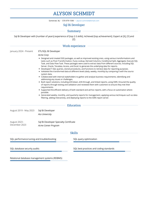 Sql Bi Developer Resume Sample and Template