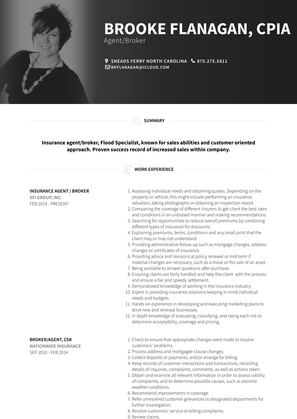 Insurance Agent / Broker Resume Sample and Template