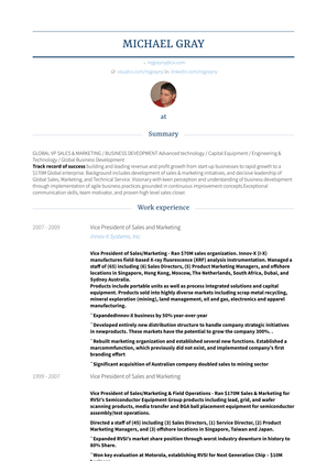 Vice President Of Sales And Marketing Resume Sample and Template