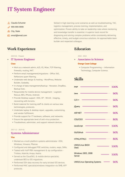 IT Systems Engineer Resume Sample and Template