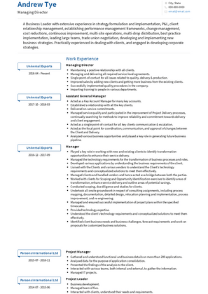 Managing Director Resume Sample and Template