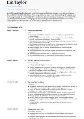 Senior Vice President Resume Sample and Template