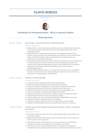 Senior Analyst   Telecommunications, Global Reservations Resume Sample and Template