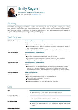 Simple CV Template and Example - Monaco by VisualCV	