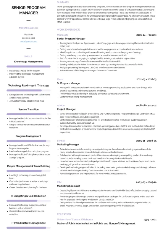 Program Manager Resume Example