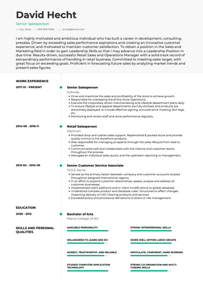Senior Salesperson CV Example and Template