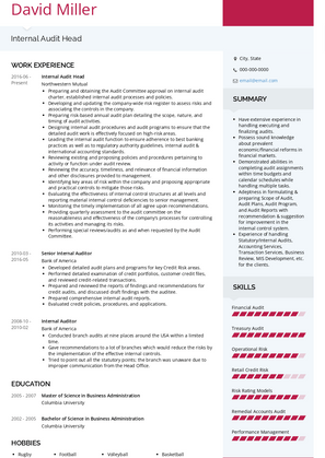 Internal Audit Head Resume Sample and Template