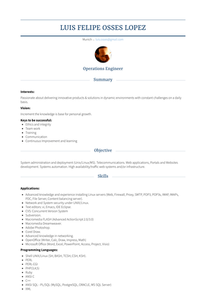 Software Tools & Automation Engineer Resume Sample and Template