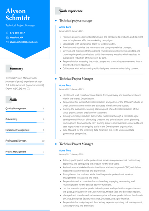 Technical Project Manager Resume Sample and Template