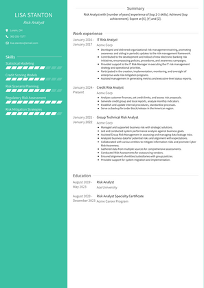 Risk Analyst Resume Sample and Template