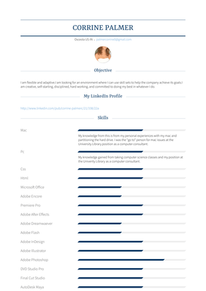 Computer Consultant Resume Sample and Template