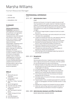 Real Professional Cv Example Sample Directory Visualcv