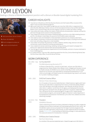 Co Founder/Ceo Resume Sample and Template