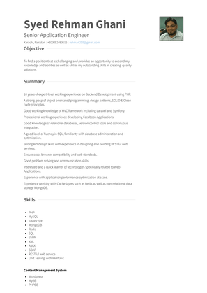 Web Programmer Resume Sample and Template