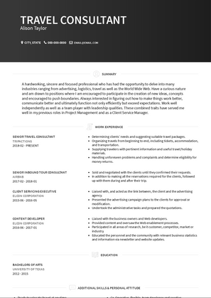 Senior Travel Consultant Resume Sample and Template