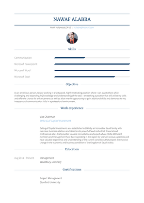 Vice Chairman Resume Sample and Template