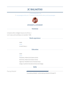 None Resume Sample and Template