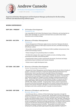 Director Of Product Management Resume Sample and Template