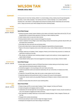 Social Media Manager CV Example and Template