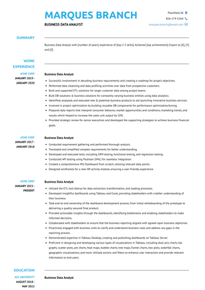 Business Data Analyst Resume Sample and Template