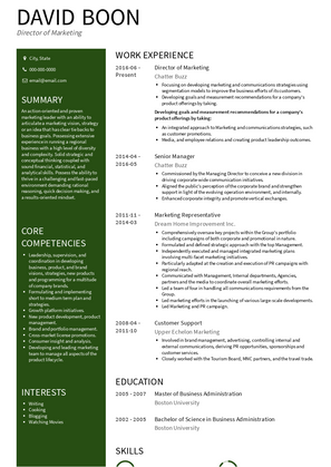 Director of Marketing Resume Sample and Template