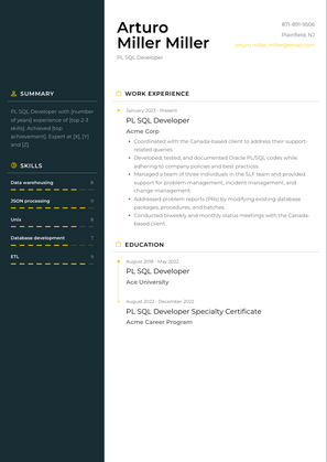 PL SQL Developer Resume Sample and Template