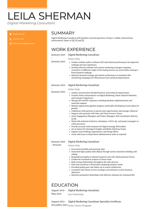 Digital Marketing Consultant Resume Sample and Template