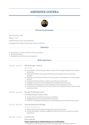 Deputy Manager   Banking Resume Sample and Template