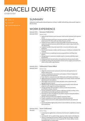 Underwriter Resume Sample and Template