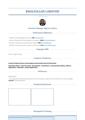 Executive Manager   Algeria Resume Sample and Template