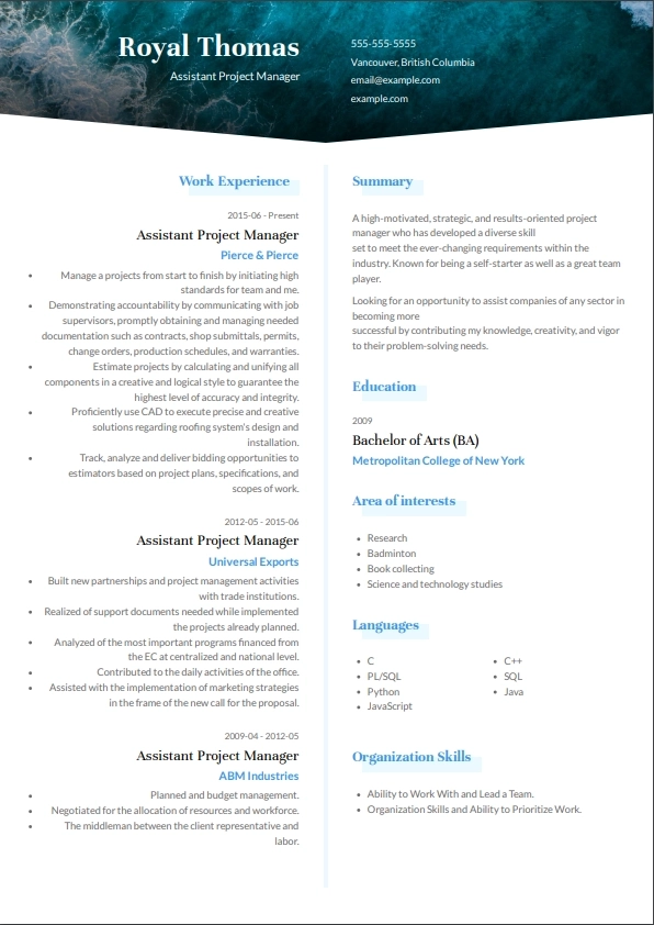 project management resume example for UAE