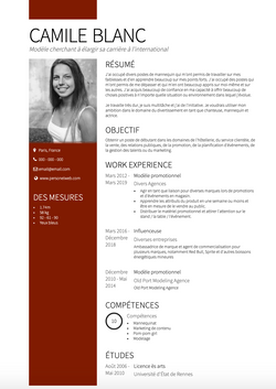 Modèle  Resume Sample and Template