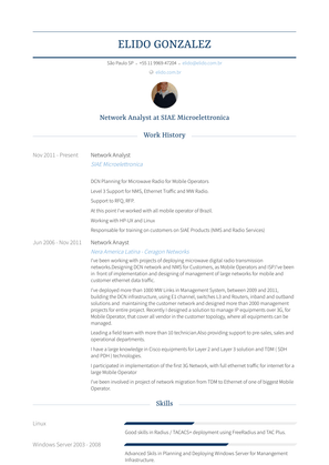 Network Analyst Resume Sample and Template