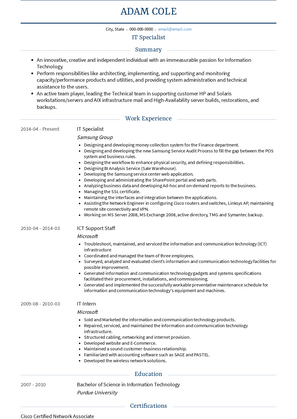 IT Specialist Resume Sample and Template