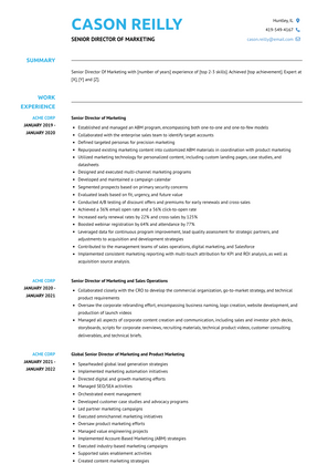 Senior Director Of Marketing Resume Sample and Template