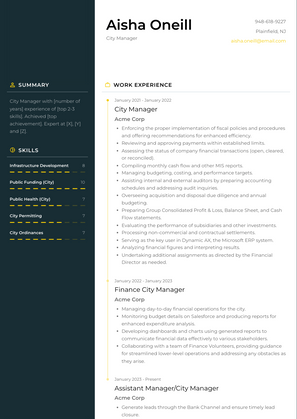 City Manager Resume Sample and Template