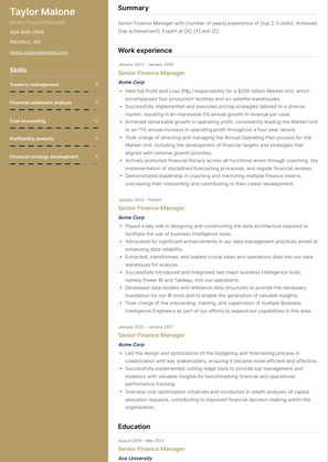 Senior Finance Manager Resume Sample and Template