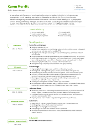Senior Account Manager CV Example and Template