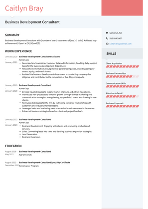 Business Development Consultant Resume Sample and Template