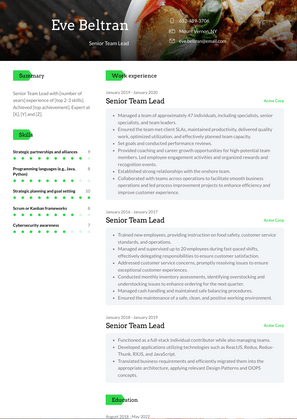 Senior Team Lead Resume Sample and Template